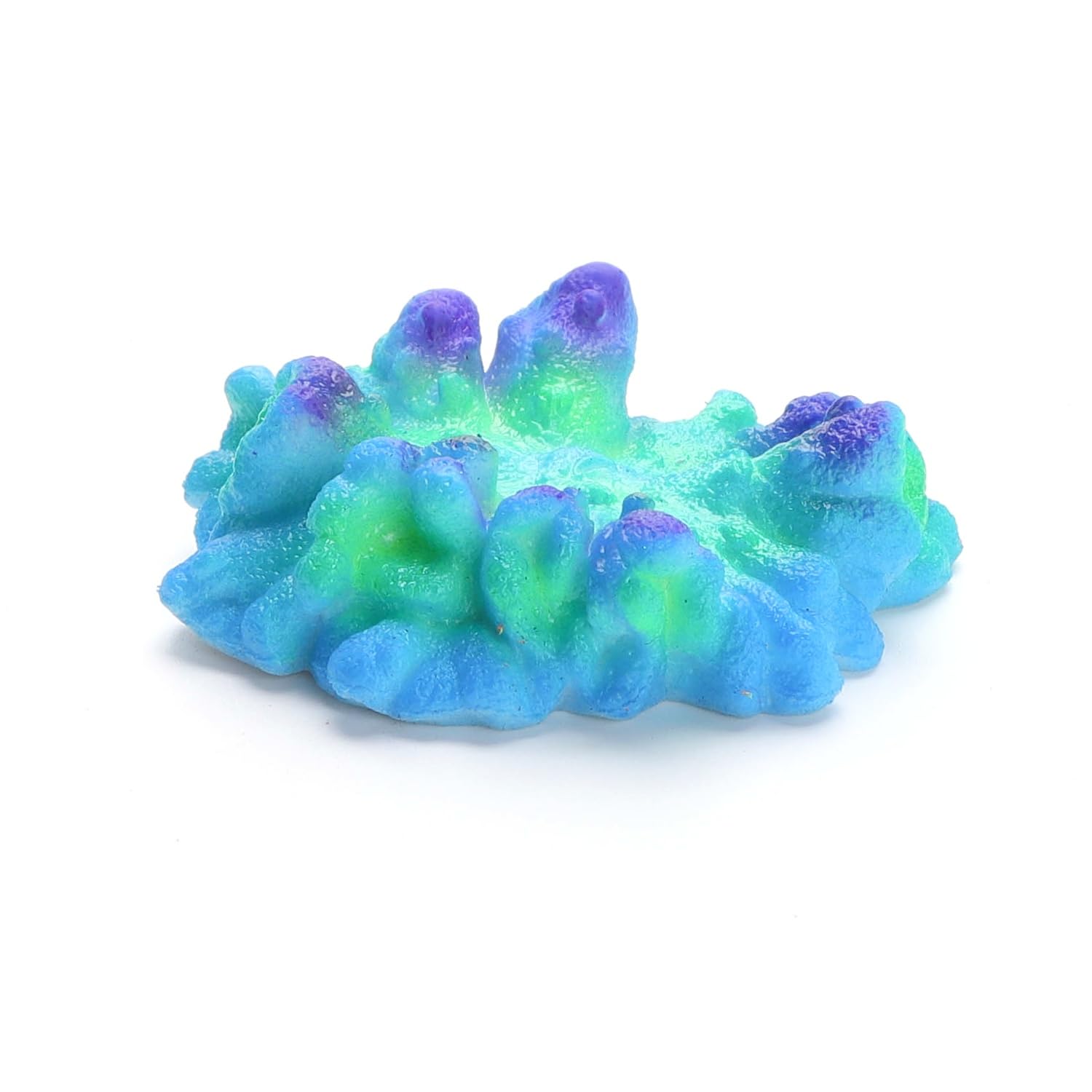 Patapalooza Fluorescent Corals: Ideal for aquariums, high luminosity, variety of colors, contribute to the health of the aquatic ecosystem.