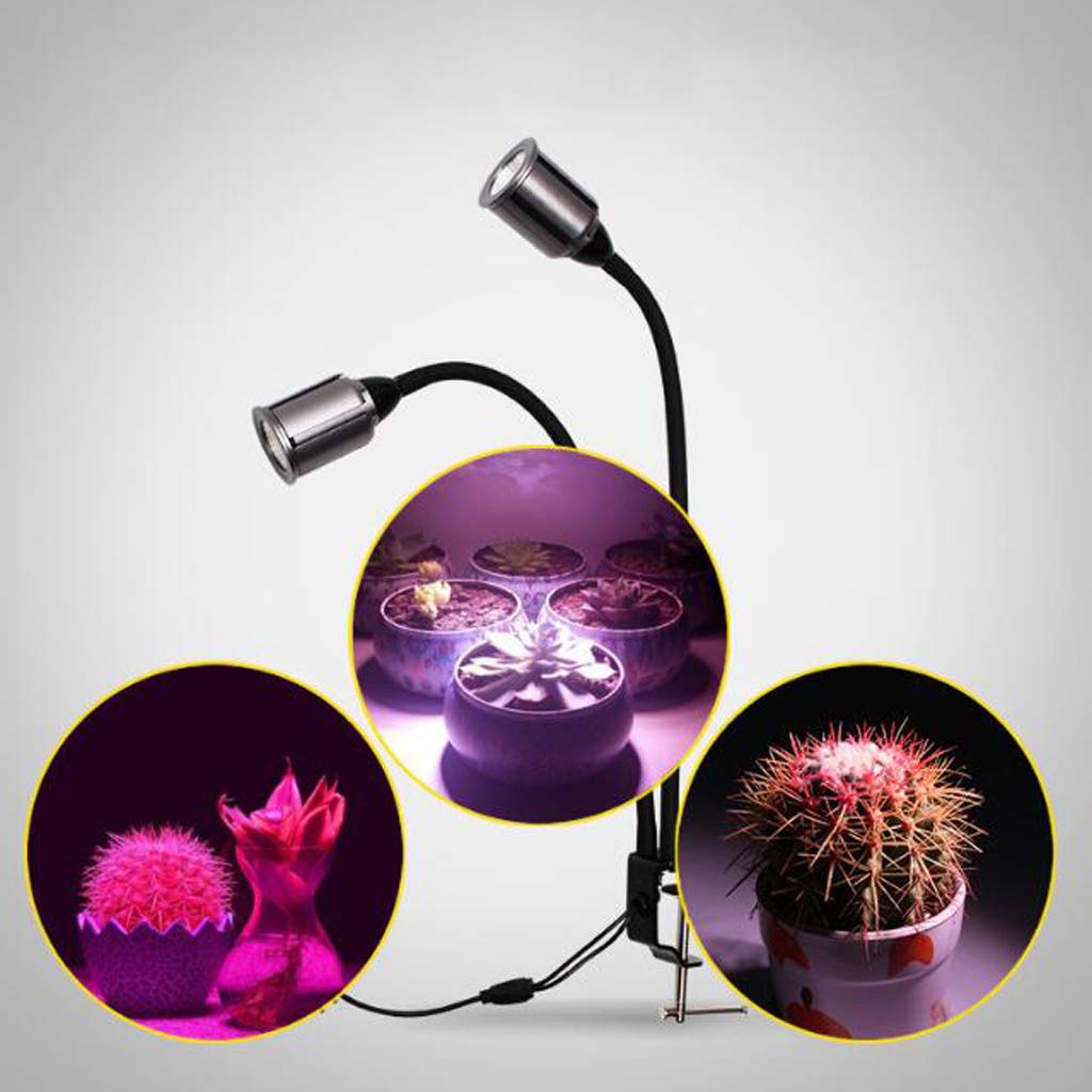 Lampe de croissance pour plantes, lumière de croissance, lampe de croissance à spectre complet de 15 W, lampe de bureau à col de cygne à double tête, lampe de croissance pour plantes d'intérieur pour