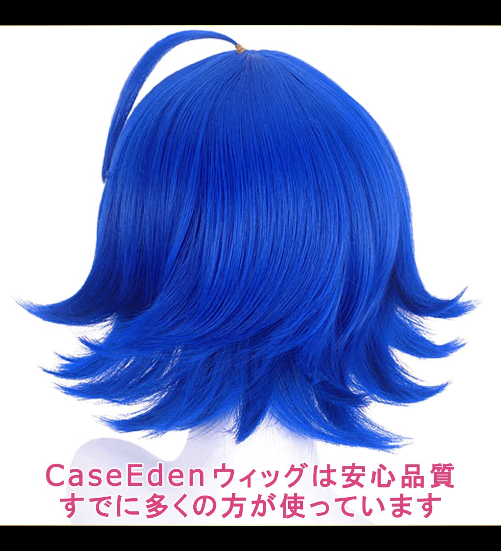 Amazon.co.jp: CaseEden コスプレ ウィッグ フルウィッグ 耐熱