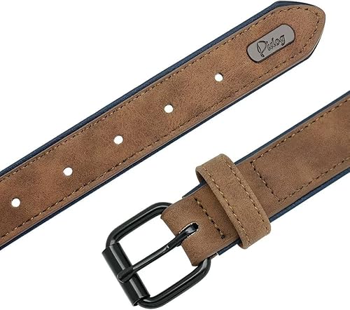 Miniatura 5 de Didog Collar de perro de cuero personalizado, collares de perro grabados con placa de identificación personalizada, collar personalizado acolchado