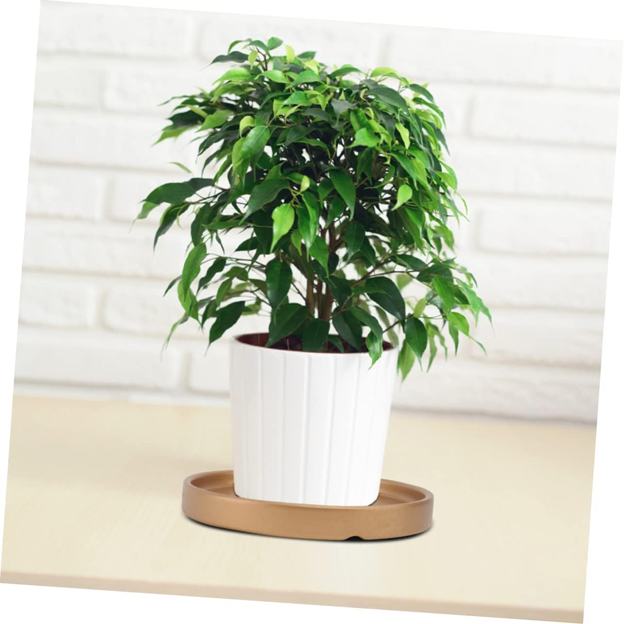 3pcs Ceramic Flower Pot Saucers Drip Trays for Indoor and Outdoor Plants Round Pot Bases for Bonsai and Home Decor Excellent Water Drainage