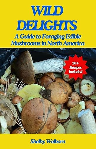 Wild Delight: A Guide to Foraging Edible Mushrooms in North America