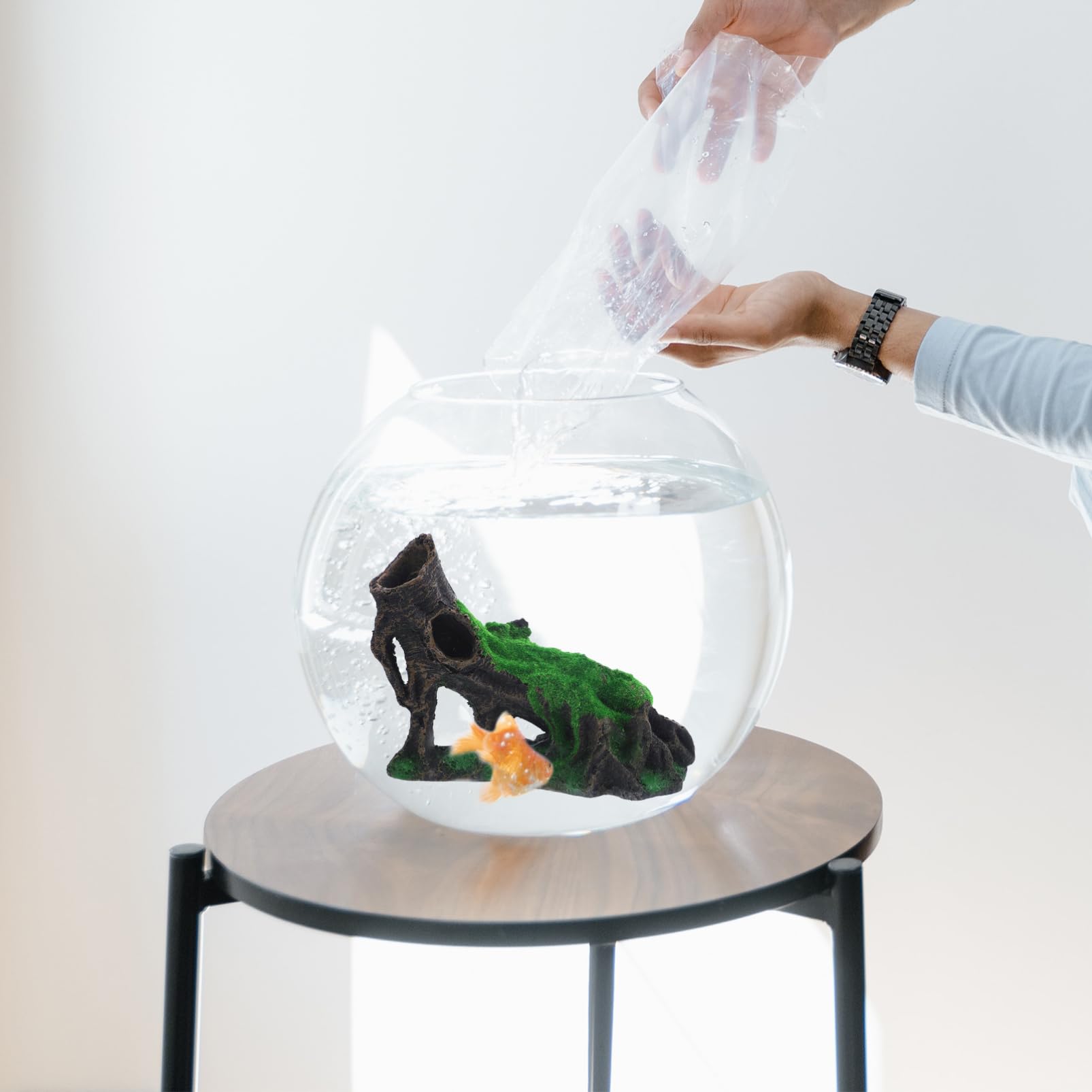 Amazon.co.jp: 枝造園装飾 アクアリウム オブジェ どじょう 海水魚