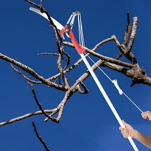 Miniatura 4 de Cabeza de sierra de poste de podadora de árboles, 4 ruedas para árbol de jardín, tijeras de poda de ramas de alta altitud, cortador de recorte,