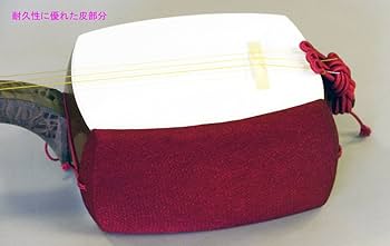 三味線　SEION　清音　ケースセット 三味線 SEION 清音 ケースセット 三味線 SEION 清音 ケース