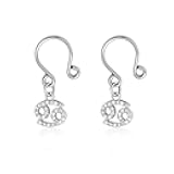 Godtemrow 2Pcs Fake Nipple Rings Name Zodiac Signs Nipple Clamps for Women Non Piercing Beginner Cubic Zirconia Non Piercing Nipple Jewelry