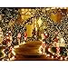 Twinkle Star 66ft 200 LED Christmas Lights Outdoor, Warm White Christmas Tree Lights Indoor with 8 Modes, Plug in Fairy String Lights Green Wire for Xmas Wedding Party Decoration