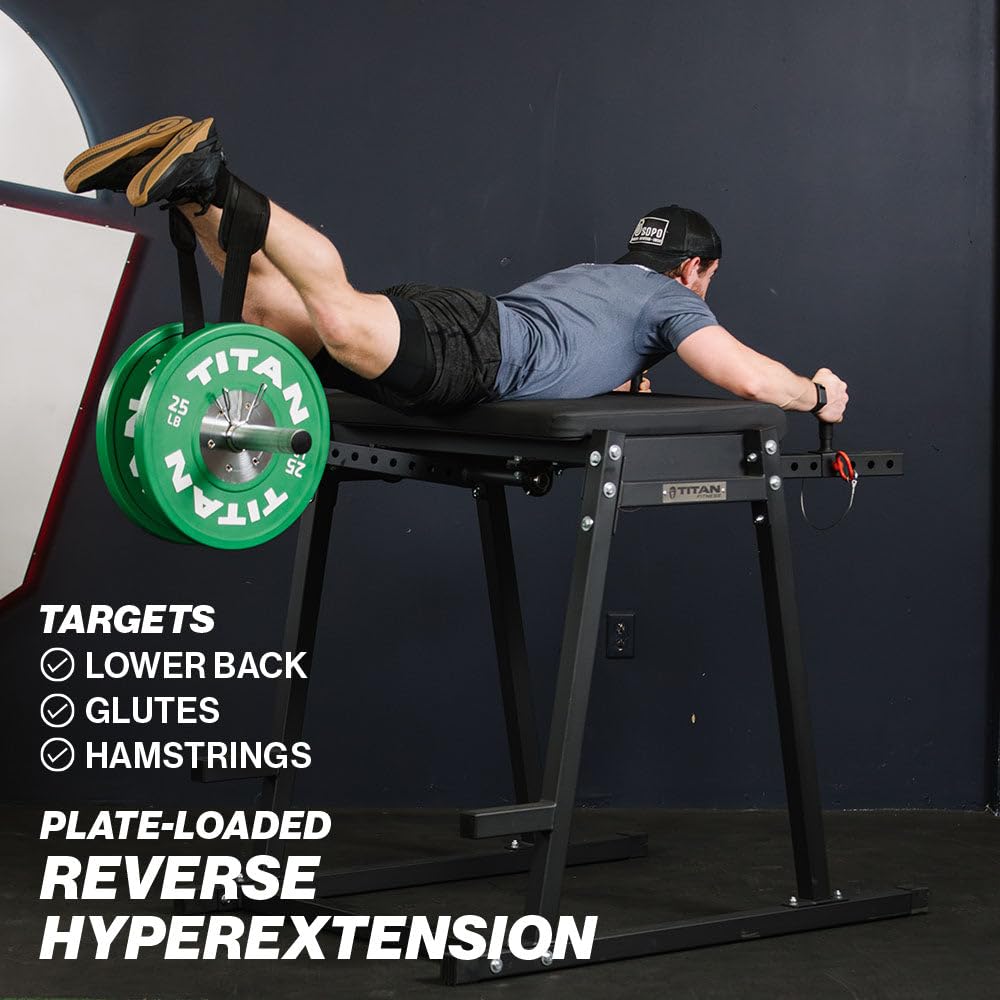 Titan Fitness Economy H-PND, Reverse Hyperextensions Lower Body