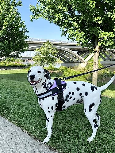 Shawnco Essential Dog Harness, No-Pull Pet Vest With 3 Leash Clips, No Choke, Reflective, Adjustable And Padded, For Easy Walking And Training For Small, Medium And Large Dogs (Icy Lilac, Xs) #TOP5