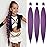 Purple Braiding Hair 24 Inch 3 Packs Pre Stretched Long Braid Rumi Hair Purple Hair Extensions for Stage Party Halloween Costume Cosplay