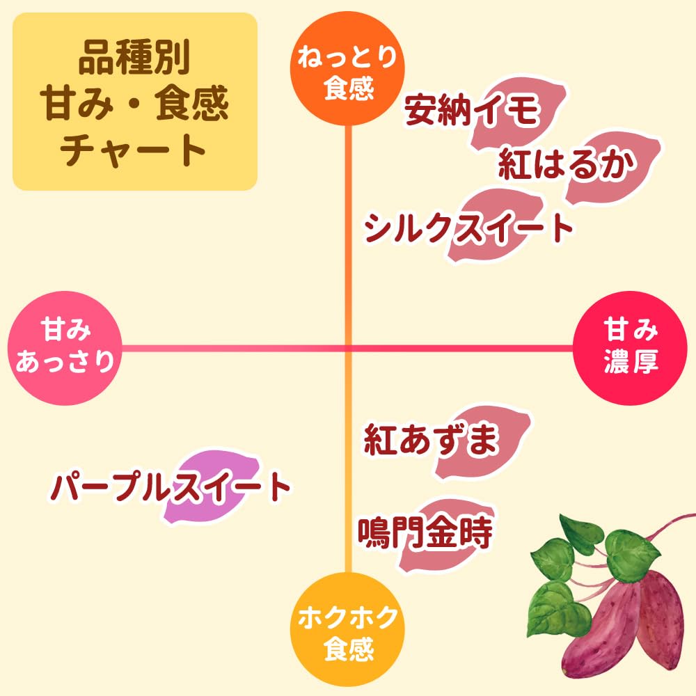 Amazon.co.jp: 【6月22日～27日発送】さつまいも苗 パープルスイート