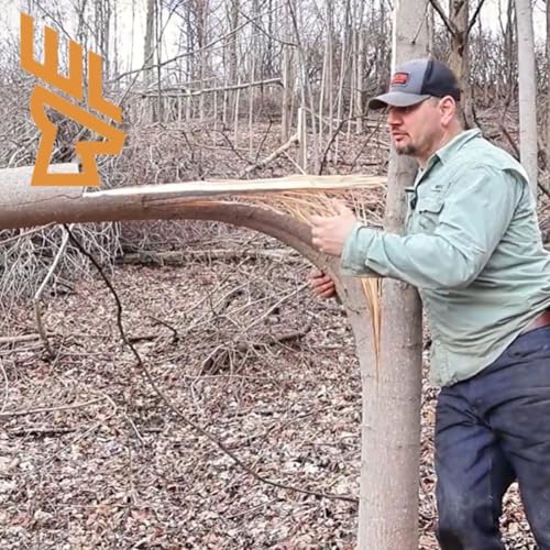 EP226 Hinge Cutting Techniques, Tree Species Selection, Food Plot Sequencing