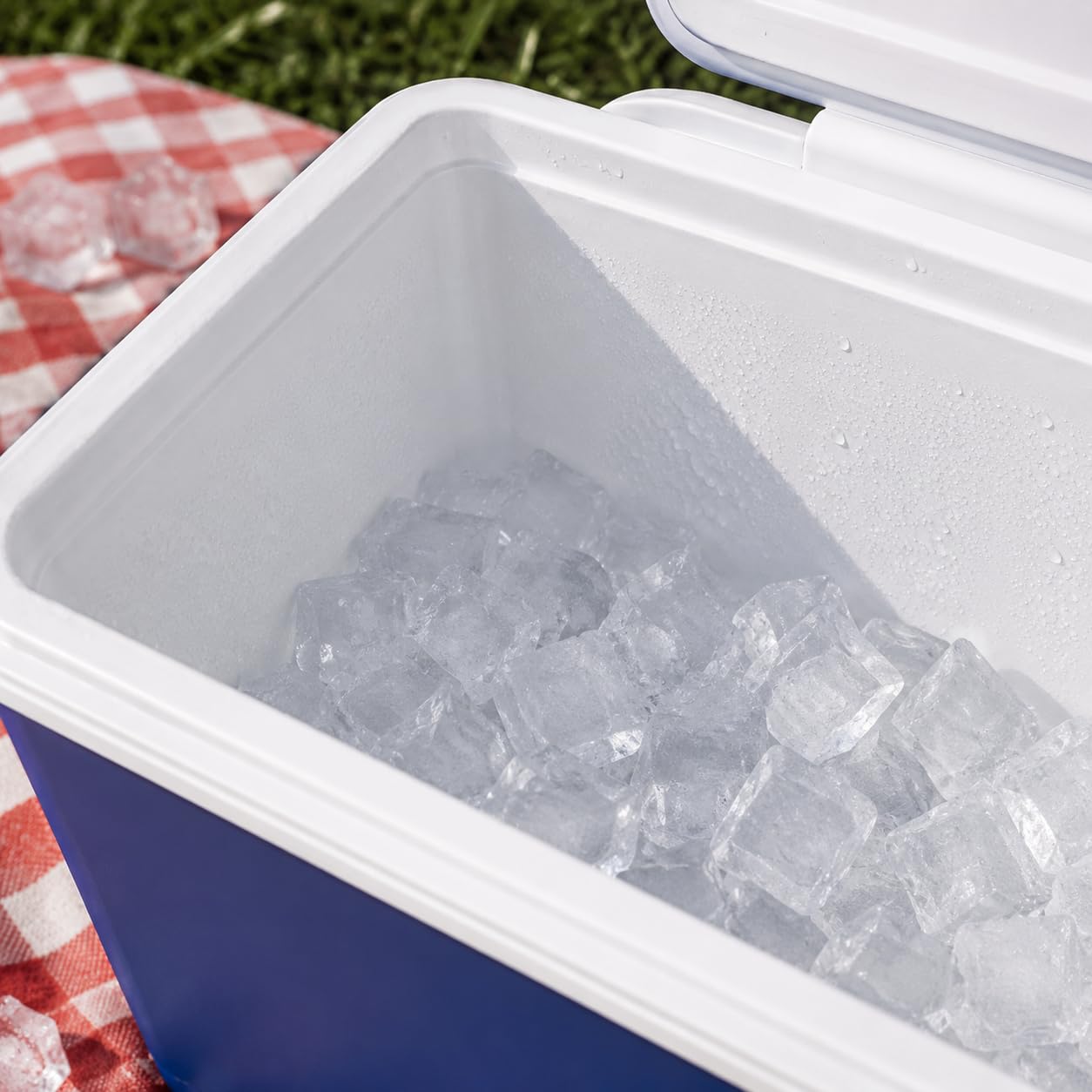 Borsa Frigo Rigida, Uso Caldo e Freddo, 30L