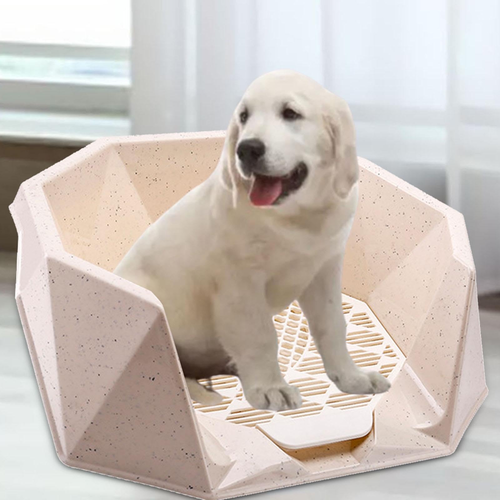 Empapadores para Entrenamiento de Perros de Interior, Mantienen Las Patas Y Los Suelos Limpios, Bandeja de Entrenamiento de Malla para Inodoro, Soport