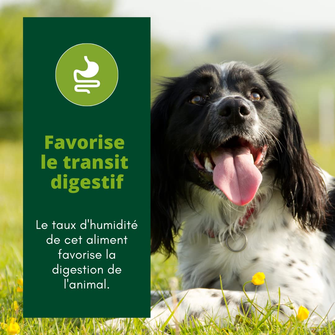 La meilleure nourriture humide et pâté pour chien | Oven-Baked Tradition