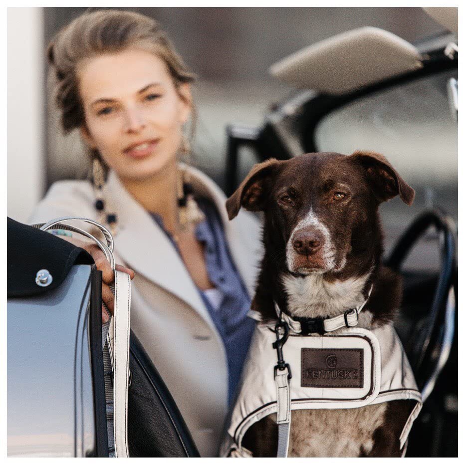 Kentucky Dogwear Dreiecks-Hundehalsband - Braun, Größe S (42cm) - Vielseitig, Waschbar & Stylisch