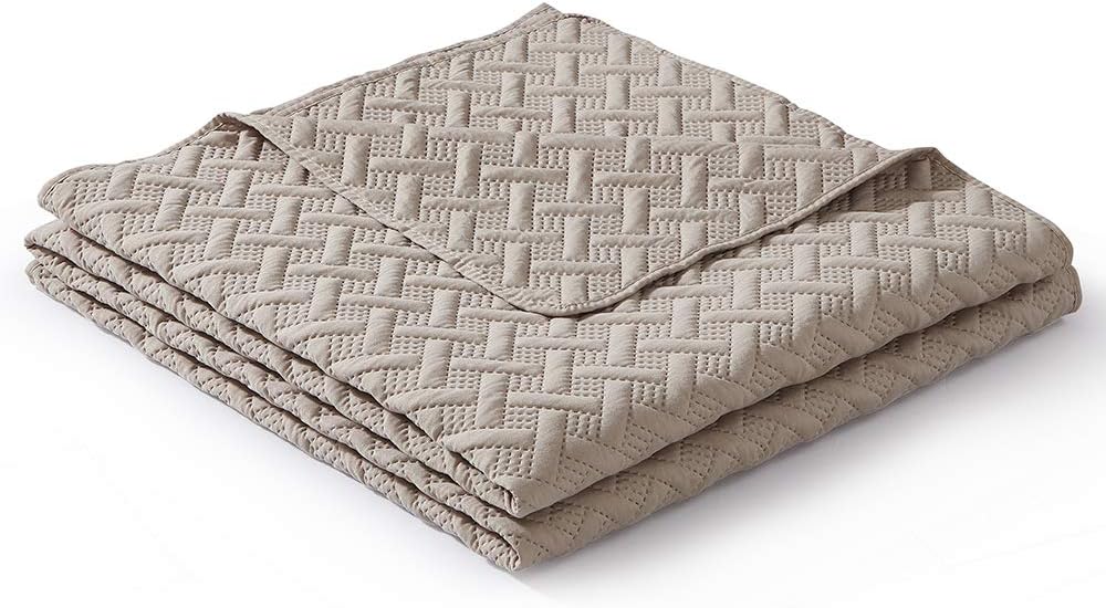 Bejimd Reversible Microfiber Quilt Set 3-Piece Full/Queen Size - Printed, Lightweight & Hypoallergenic All-Season Ultrasonic Bedspread Coverlet Set (Included 1 Quilt, 2 Shams), Stripe Taupe