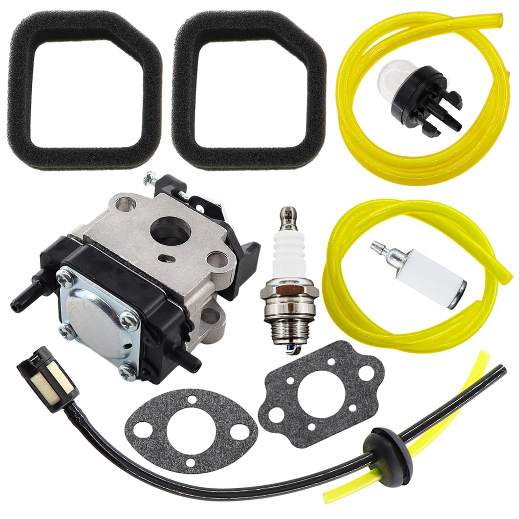 Amazon.com: TOPREPAIR Carburetor Air Filter for Hitachi CG22EA