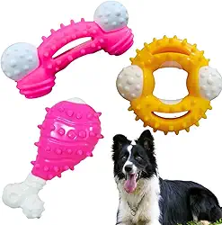 Kit 3 Brinquedo Resistente Osso Nylon Cachorro Cão Pet Forte Grande Pet (Femea)