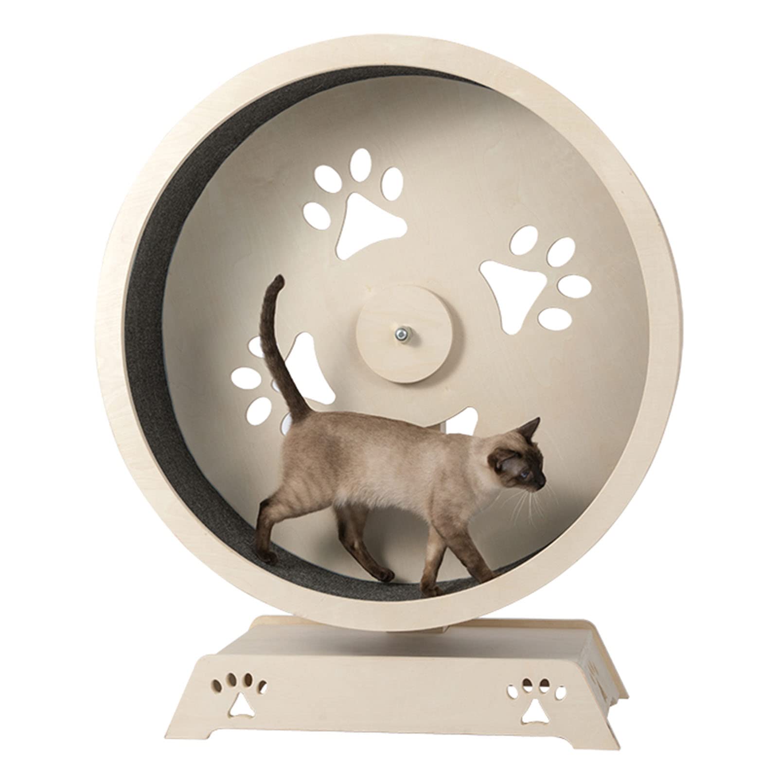 Rueda para Gatos - Rueda de Ejercicio para Gatos Cinta de Correr, Rueda para Correr para Gatos Juguetes para Gatos, Juguetes para Gatos de Interior Rueda de Ejercicio Rueda de Ejercicio Solo para ga