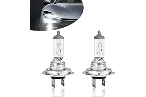 2 PCS H7 Automotive Halogen Bulb, 12V 55W for Cars