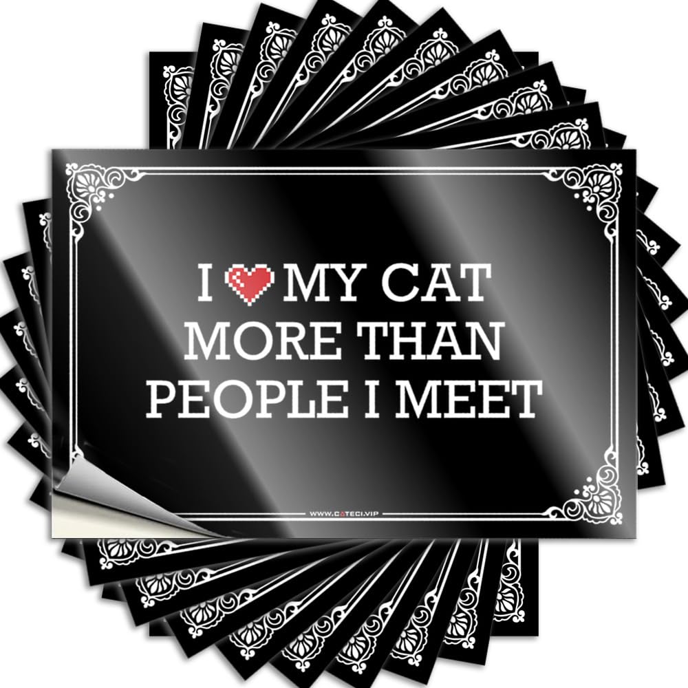 Cozy Decals, Music Decor Helmet I Love My Cat More Than People I Meet | Funny Quote Beer Decals(12X18CM)