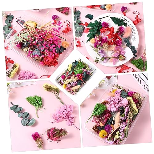6 Cajas de Flores Secas Naturales para Manualidades miniatura 5