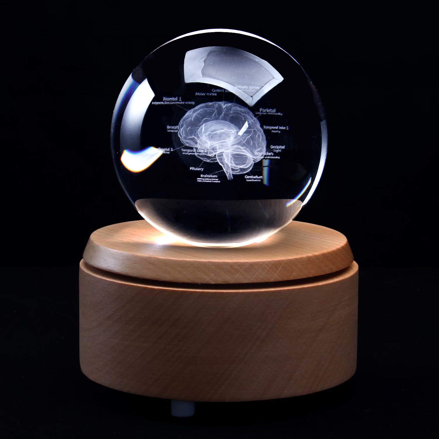 【超美品】PLUTONIUM BRAIN typeC 153cm 超美品】PLUTONIUM BRAIN typeC 153cm
