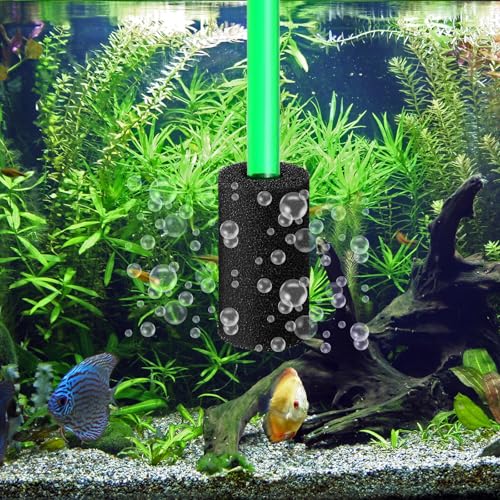Image of Xinjoduz 6 PCS Aquarium Filter Sponge, Round Black Pre-Filter Sponge for Aquarium Shrimp Fry Fish Tank Filter Pump Sponges Replacement Foam Cover Accessories (3.2 inch x 1.6 inch, 0.8 inch Hole)
