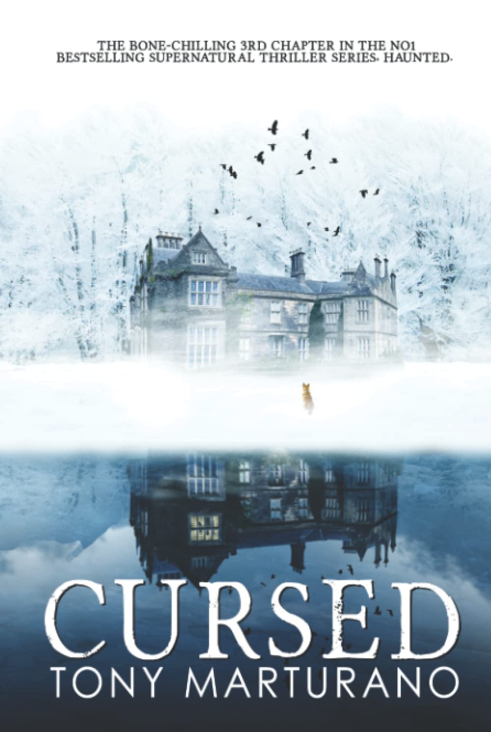 Cursed (Haunted)