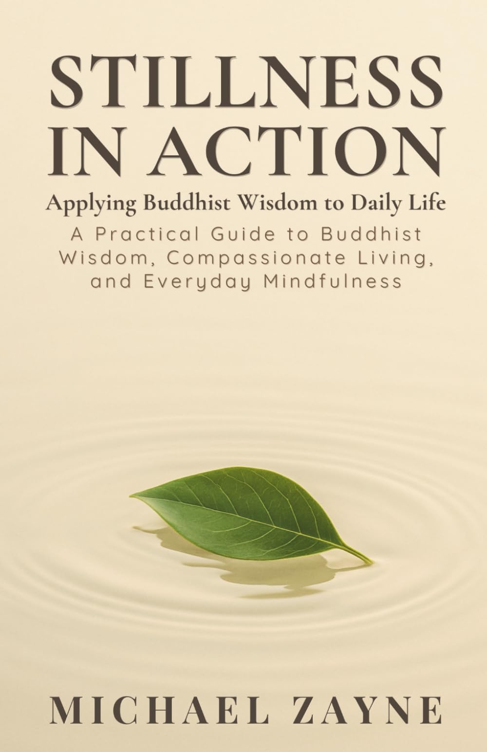 Stillness in Action: Applying Buddhist Wisdom to Daily Life: 2 (Everyday Buddhism)