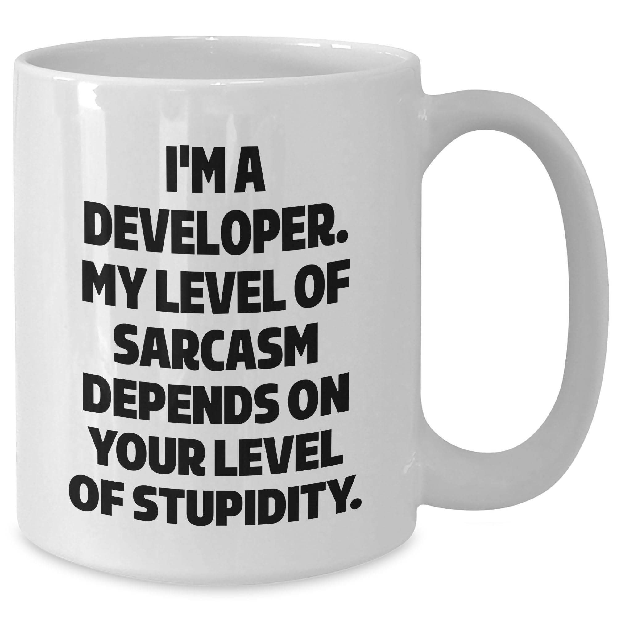 Gifts from Friends, Developer Humor White Coffee Mug, Developer Birthday Unique