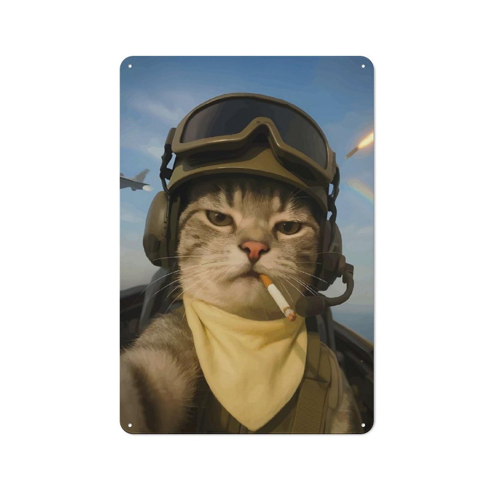 Junmoney Style War Cat Retro Metal Wall Sign 30X20cm For Guest Room Or Hallway, A Housewarming Gift For Home Decor Collectors