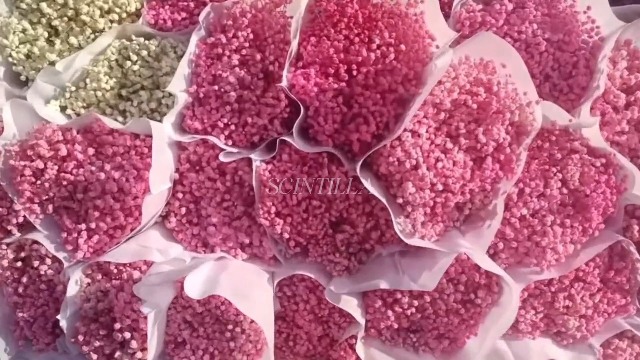 Ramo de flores secas Baby's Breath, 17 pulg, 5000+ ramas miniatura 3