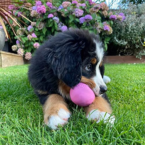 BecoThings Hundespielzeug Ball, S, blau