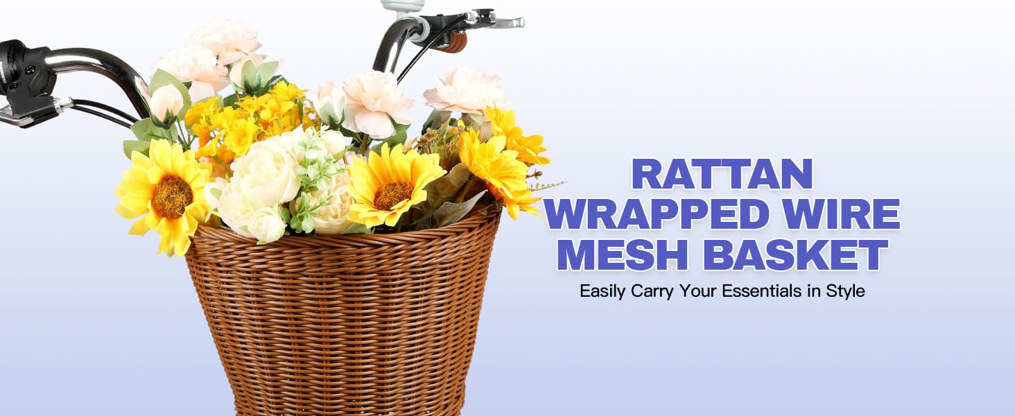 26 Inch Beach Cruise