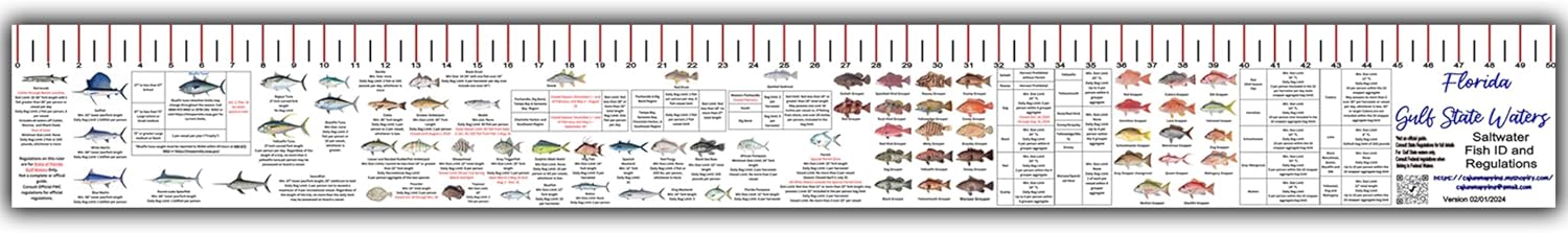 STATE COASTAL FISH RULER with FISH ID and FISHING REGULATIONS - 50 INCH RULER DECALS