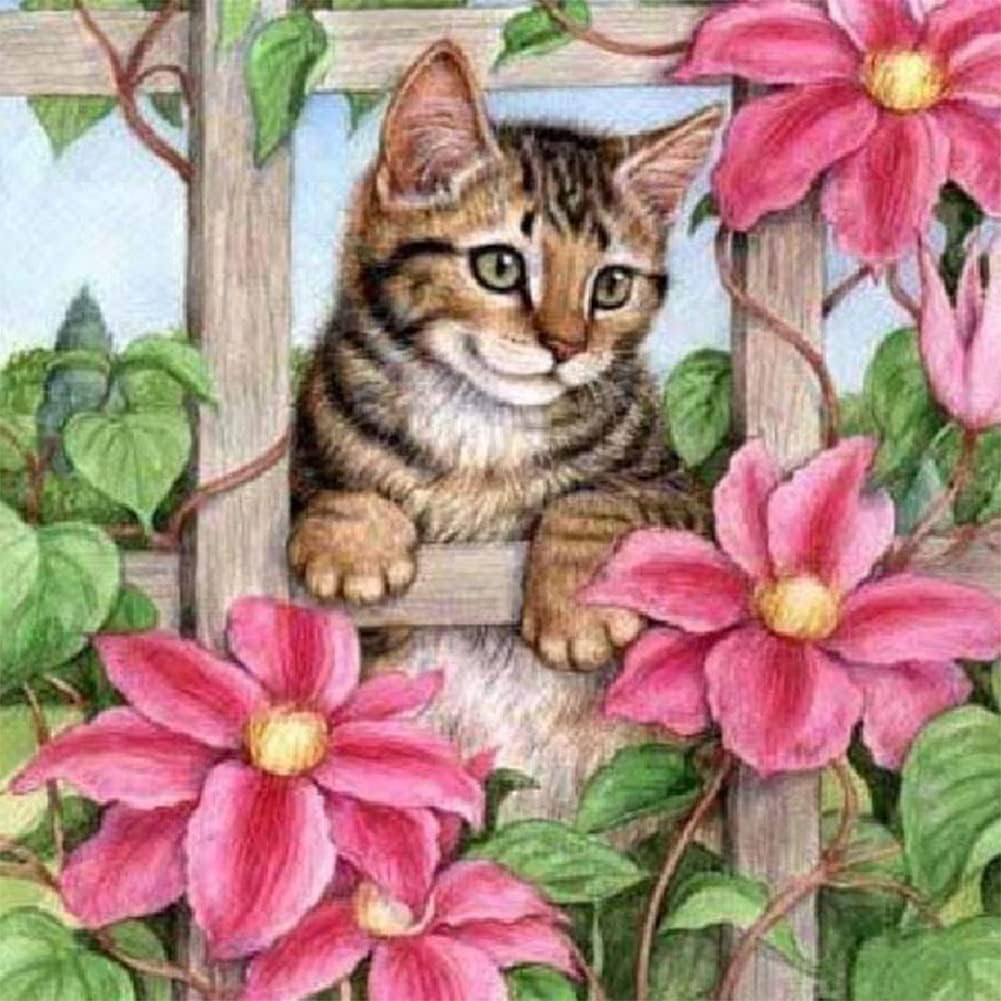 DIY 5D Diamond Painting Kits for Adult, Cat Diamond Art