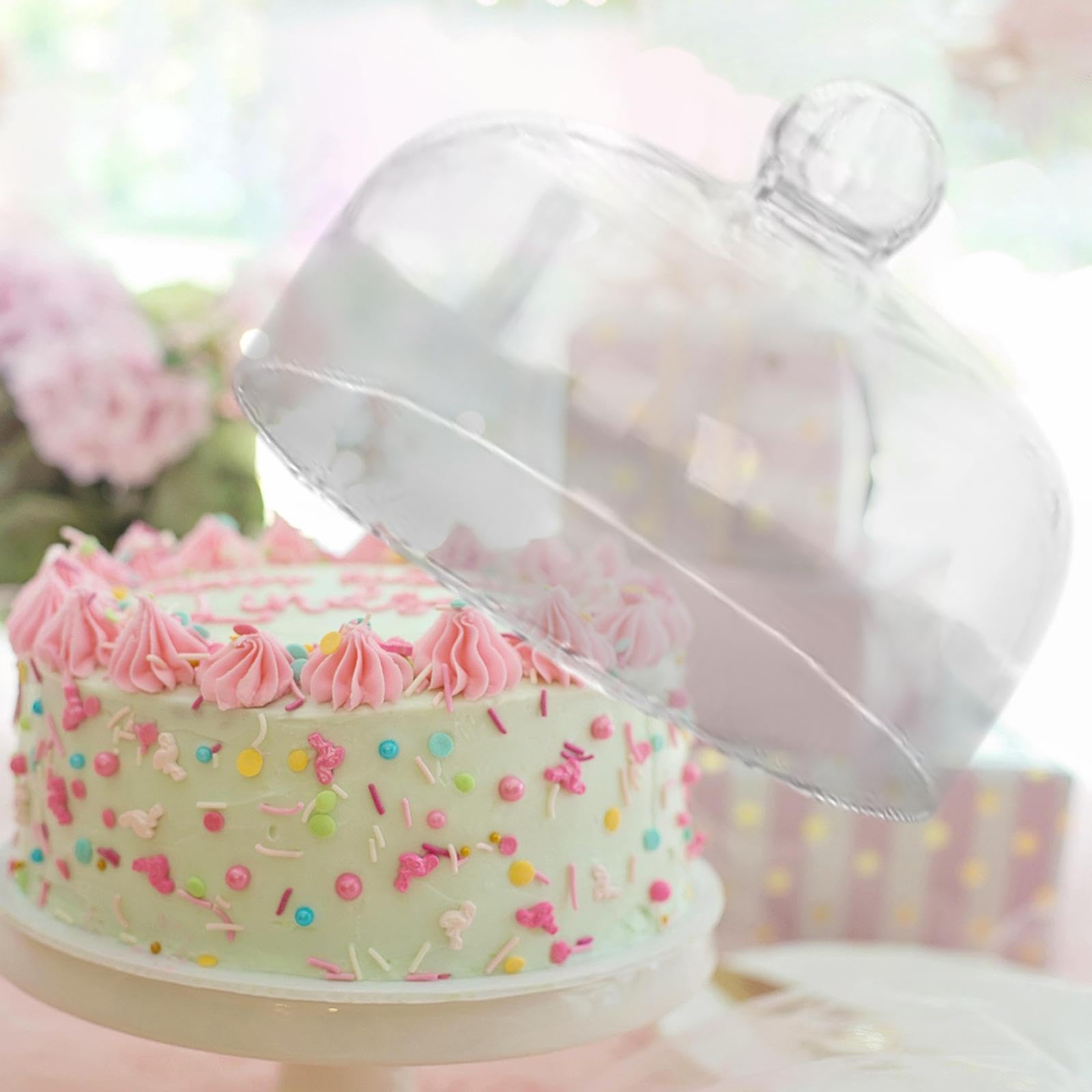 Dome di Display Rotondo per Torte, Copertura Del Piatto per Dessert, 16x22 Cm