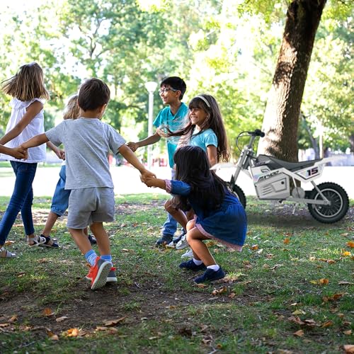 image for Razor MX400 Dirt Rocket 24 Volts Motocross Electric Dirt Bike with Han