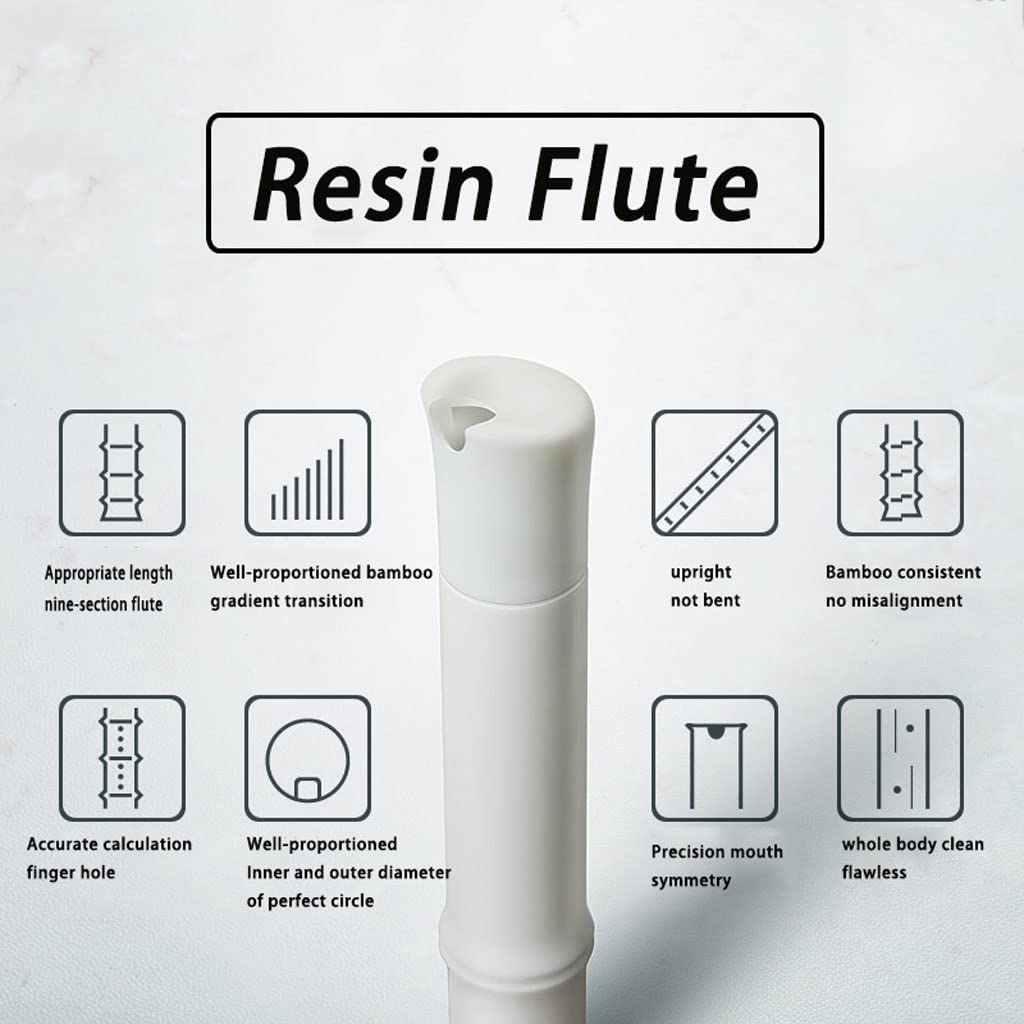 TsoLay Flauto principiante Flauto Cinese Chiave G Verticale ABS Flauto 9 Annodato Xiao No Crack Strumenti Musicali Tradizionale a fiato Xiao Flauto Flauto principiante Strumento Musicale