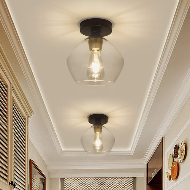 Depuley Ceiling Light Fixture, Industrial Semi Flush Mount Ceiling Lighting, Glass Lampshade Kitchen Light, Modern Chandeliers Fitting for Hallway, Dining Room, Bedroom, Cafe, Bar, Passway, Foyer
