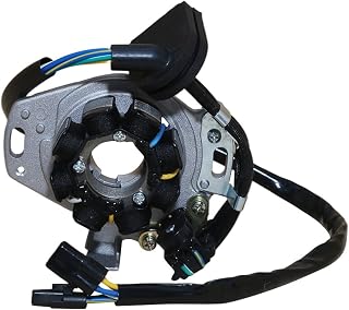 Motorcycle Magneto Stator Coil Compatible with H-onda CR250 1997-1998 CR250RV 1997 CR250RW 1998 OEM：31100-KZ3-B01 Accessories