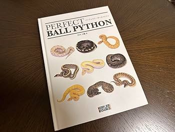Amazon.co.jp: パーフェクトボールパイソン 超 : 文房具・オフィス用品