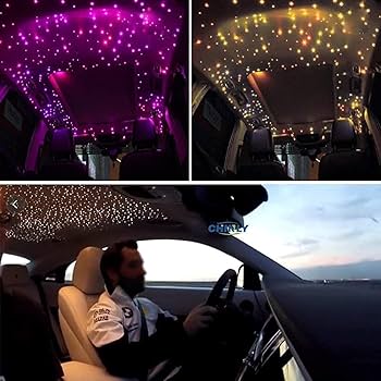 Amazon.com: CHINLY Twinkle 650pcs 9.8ft 0.03in Starlight Headliner