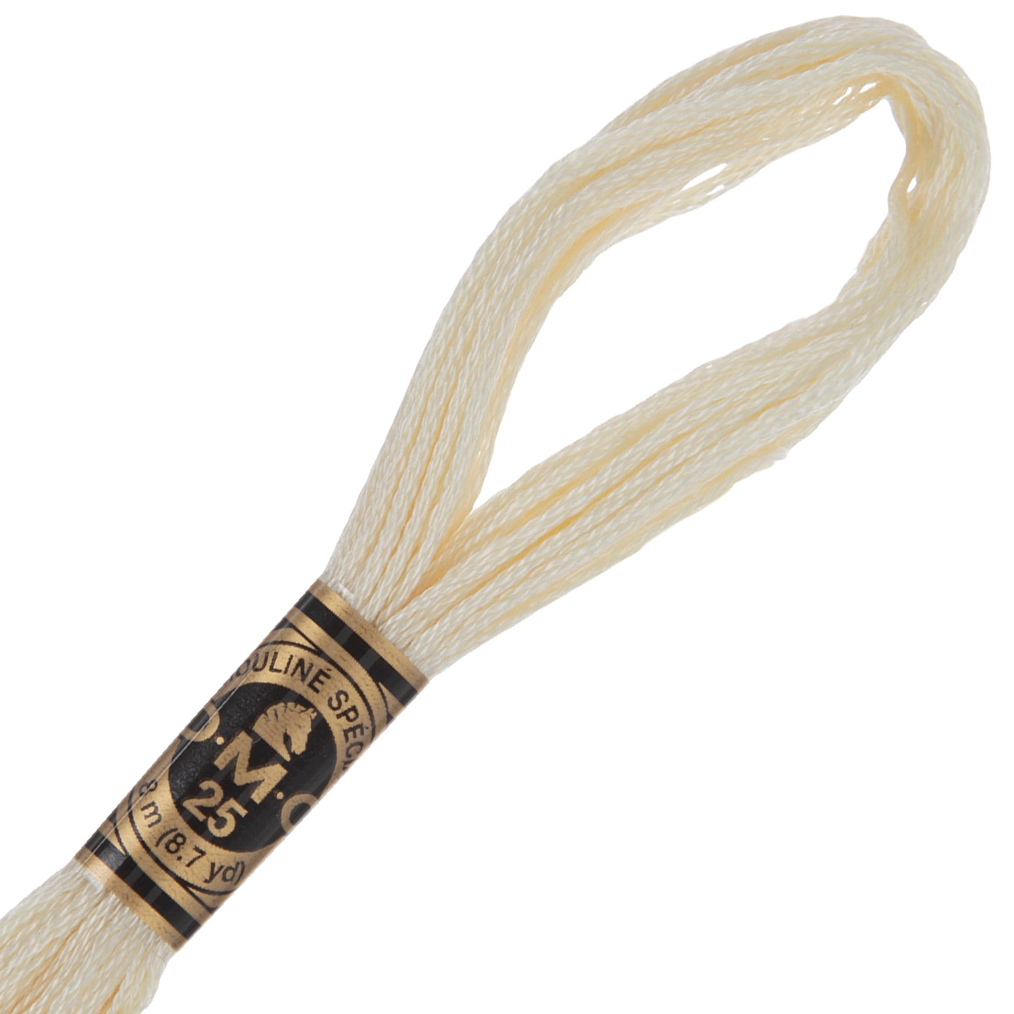 Amazon.com: Hobby Lobby DMC Cotton Embroidery Floss - 746 Off