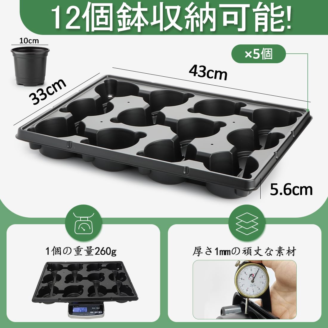 Amazon.co.jp: 3号鉢対応 12セルトレイ 5個セット、 園芸用品 育苗