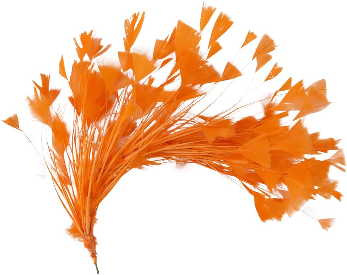 Queenbox 10-12in Turkey Feather Flower Bulk Plumage for Kindergarten DIY Craft,Wedding Home Party Photo Prop, Orange