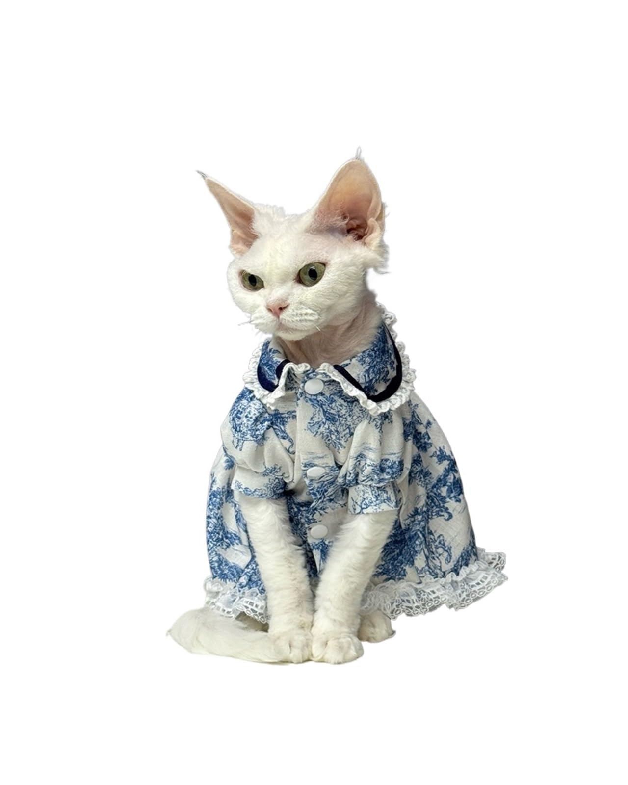Ropa para gatos grandes vestido floral para Sphynx ideal para fotos en casa L