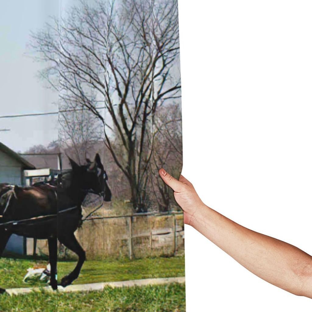 Indiana Shower Curtain Set Landscape Amish Horse Drawn Buggy in Field A Sunny Day Bathroom Curtains Polyester Fabric Waterproof Bath Curtains Decor 66" W x 72" L with Hooks